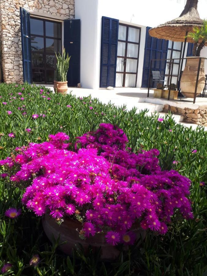La Maison D'Helene Essaouira Ghazoua Ngoại thất bức ảnh