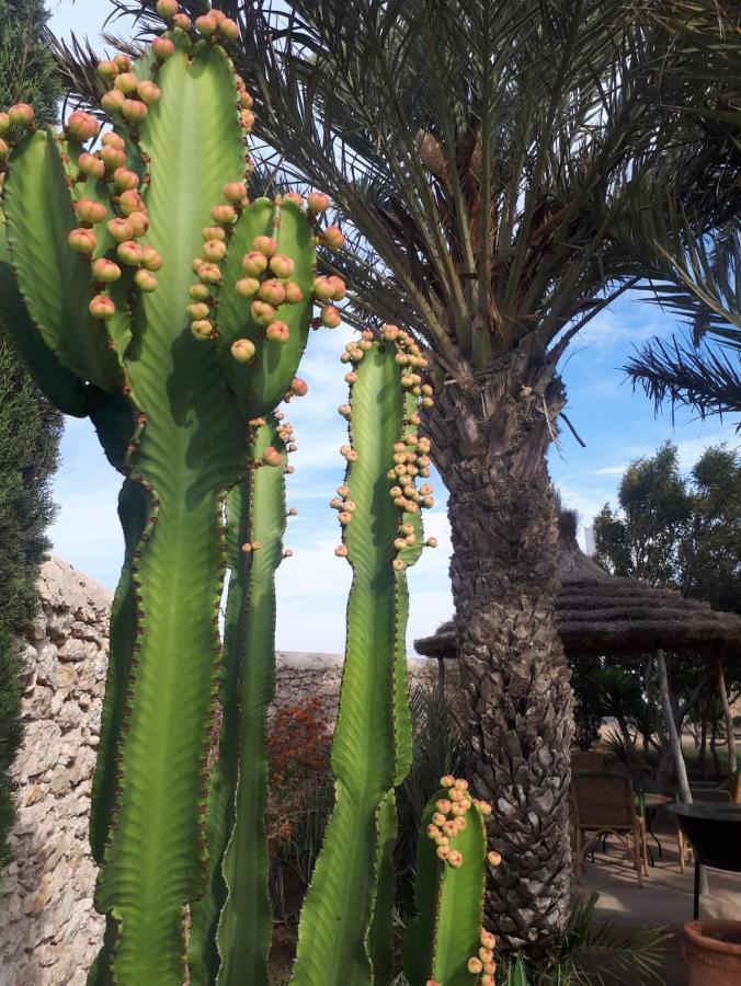 La Maison D'Helene Essaouira Ghazoua Ngoại thất bức ảnh
