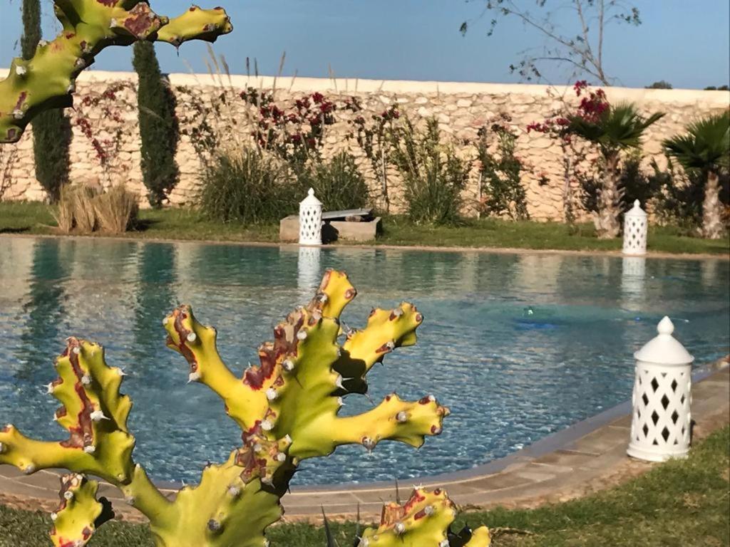 La Maison D'Helene Essaouira Ghazoua Ngoại thất bức ảnh